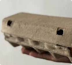 Kemasan Box 1