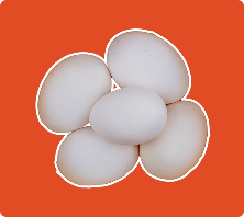 Telur Kampung