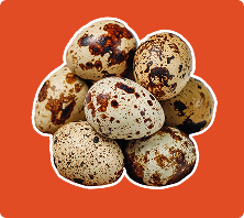 Telur Puyuh